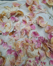 Load image into Gallery viewer, Botanical Dye Workshop