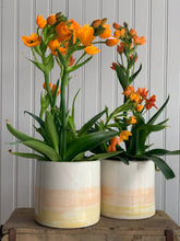 Load image into Gallery viewer, Colorful Cache Pot