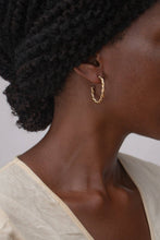 Load image into Gallery viewer, Zinga Hoops