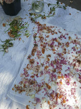 Load image into Gallery viewer, Botanical Dye Workshop