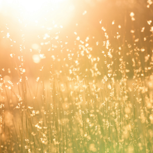 Load image into Gallery viewer, Halo Eau De Parfum