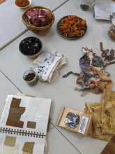Load image into Gallery viewer, Botanical Dye Workshop