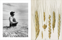 Load image into Gallery viewer, The Ancient Grains Issue