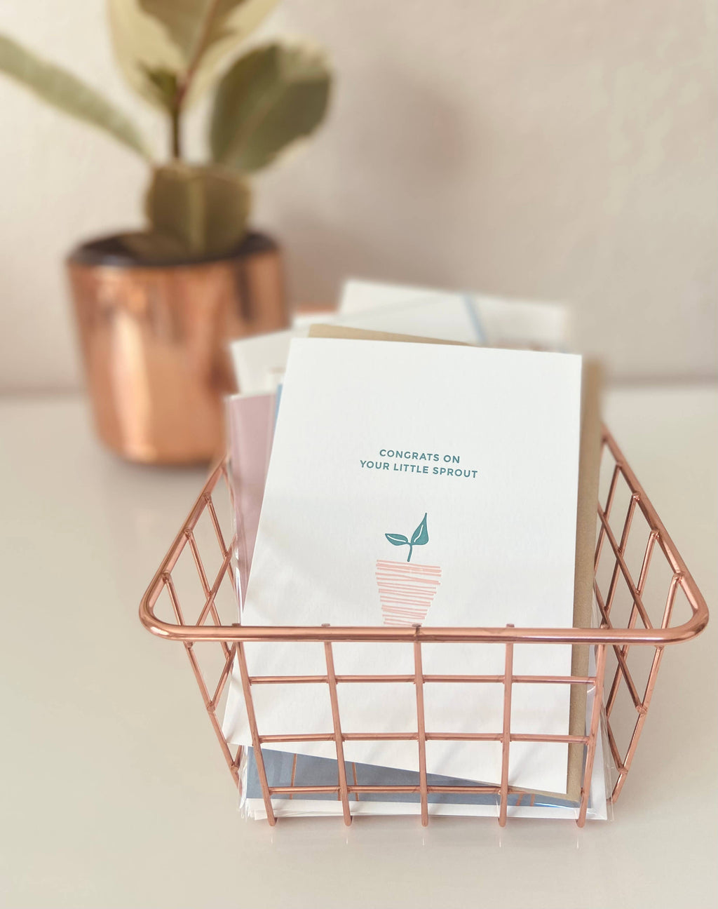 Little Sprout Baby Letterpress
