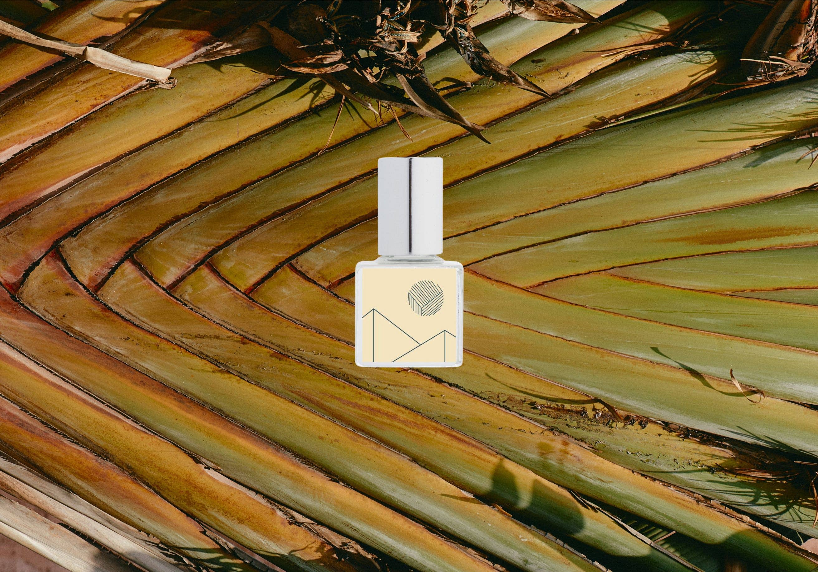 MEZCAL Perfume Oil: Blanca