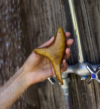 Load image into Gallery viewer, The Bird Body Gua Sha
