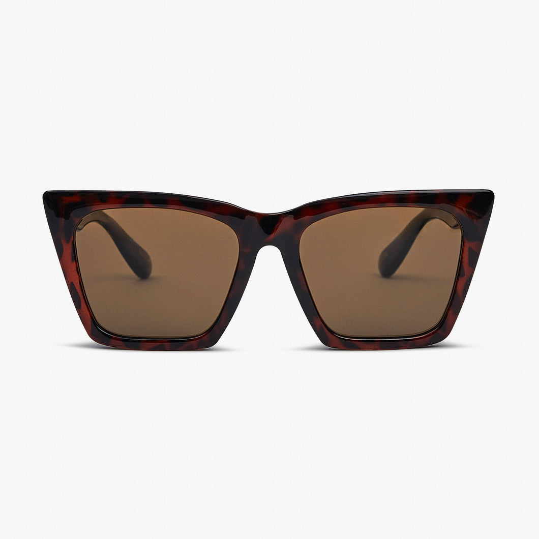 IBZ - POLARIZED & GRADIENT - TORT