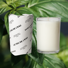 Load image into Gallery viewer, African Basil - 8oz
