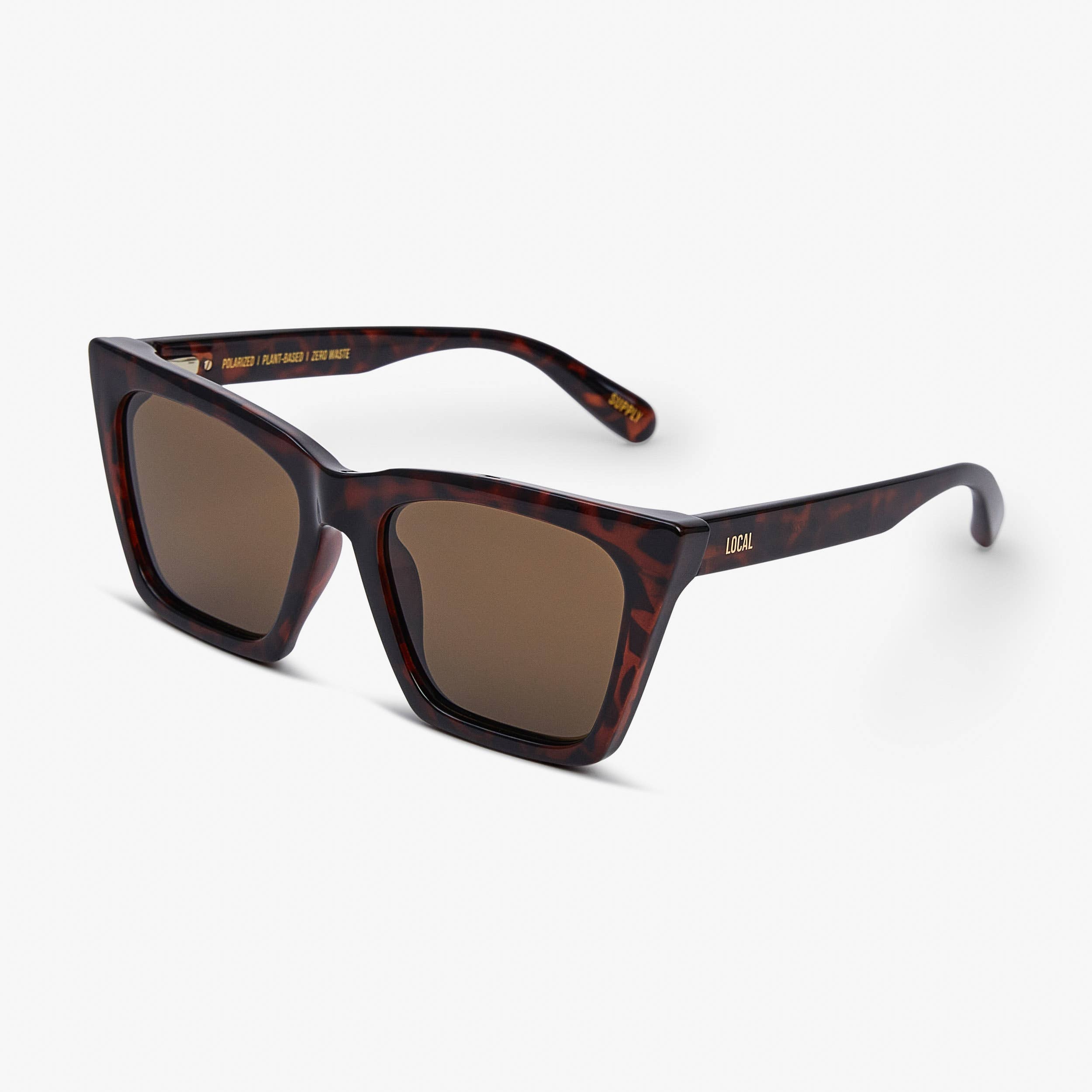 IBZ - POLARIZED & GRADIENT - TORT