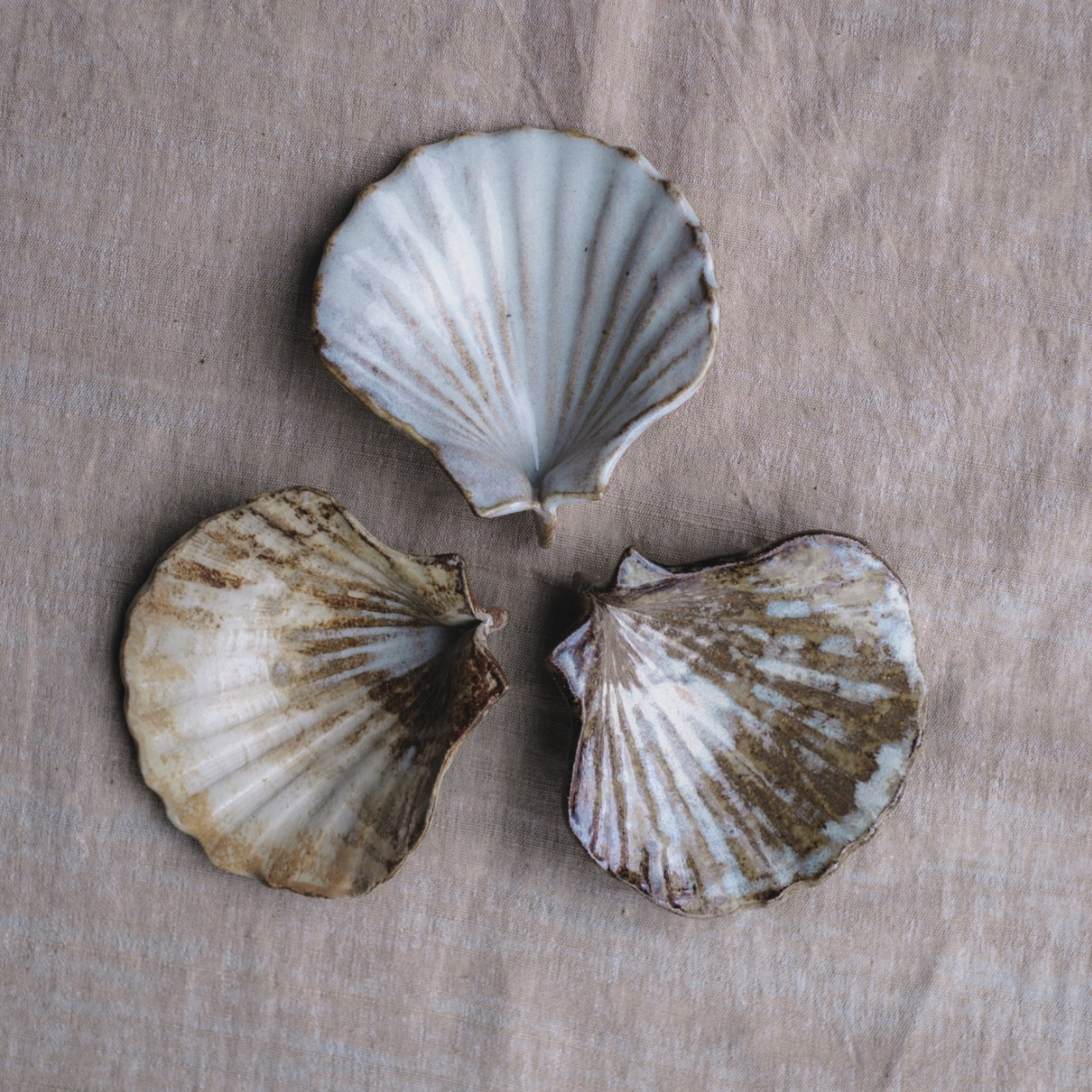 Ceramic scallop shell dish